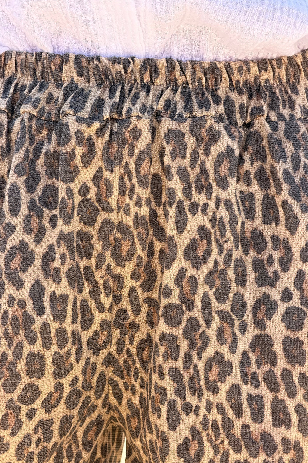 Leopard Print Pull-On Shorts